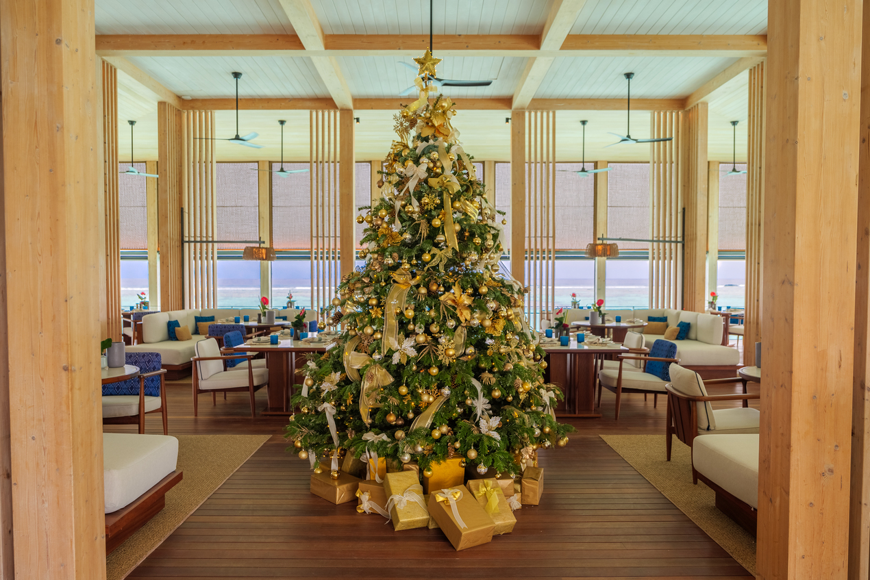 Новогодние праздники на курорте The Ritz-Carlton Maldives, Fari Islands